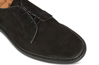 Robert Derby Shoe - Black Suede - R E Tricker Ltd