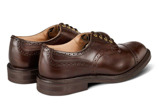 7047 - Men's Derby ToeCap Brogue - Dark Brown Windsor Bonaudo - R E Tricker Ltd