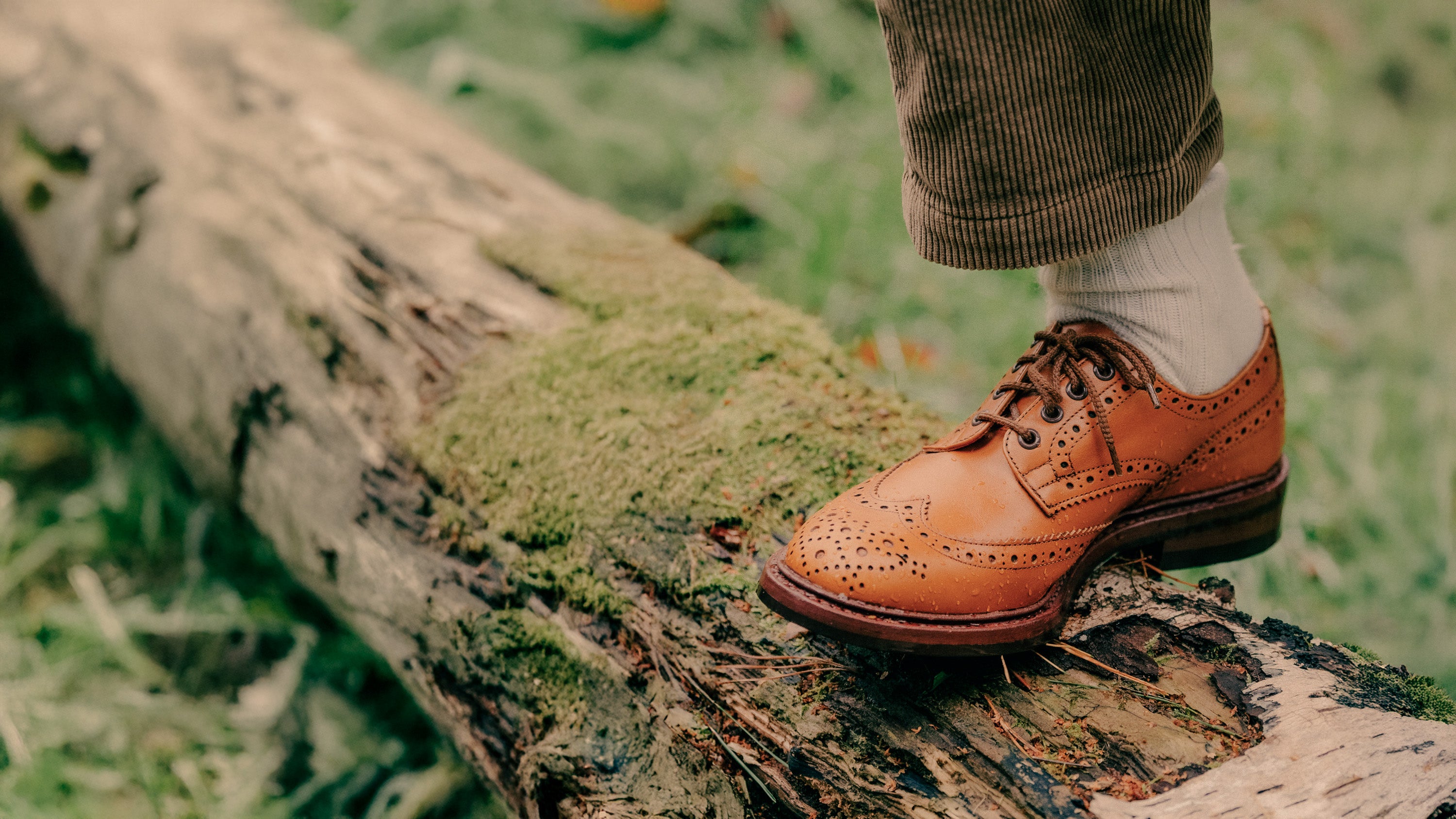 Trickers Bourton country shoes showcasing the iconic wingtip brogue design in premium leather