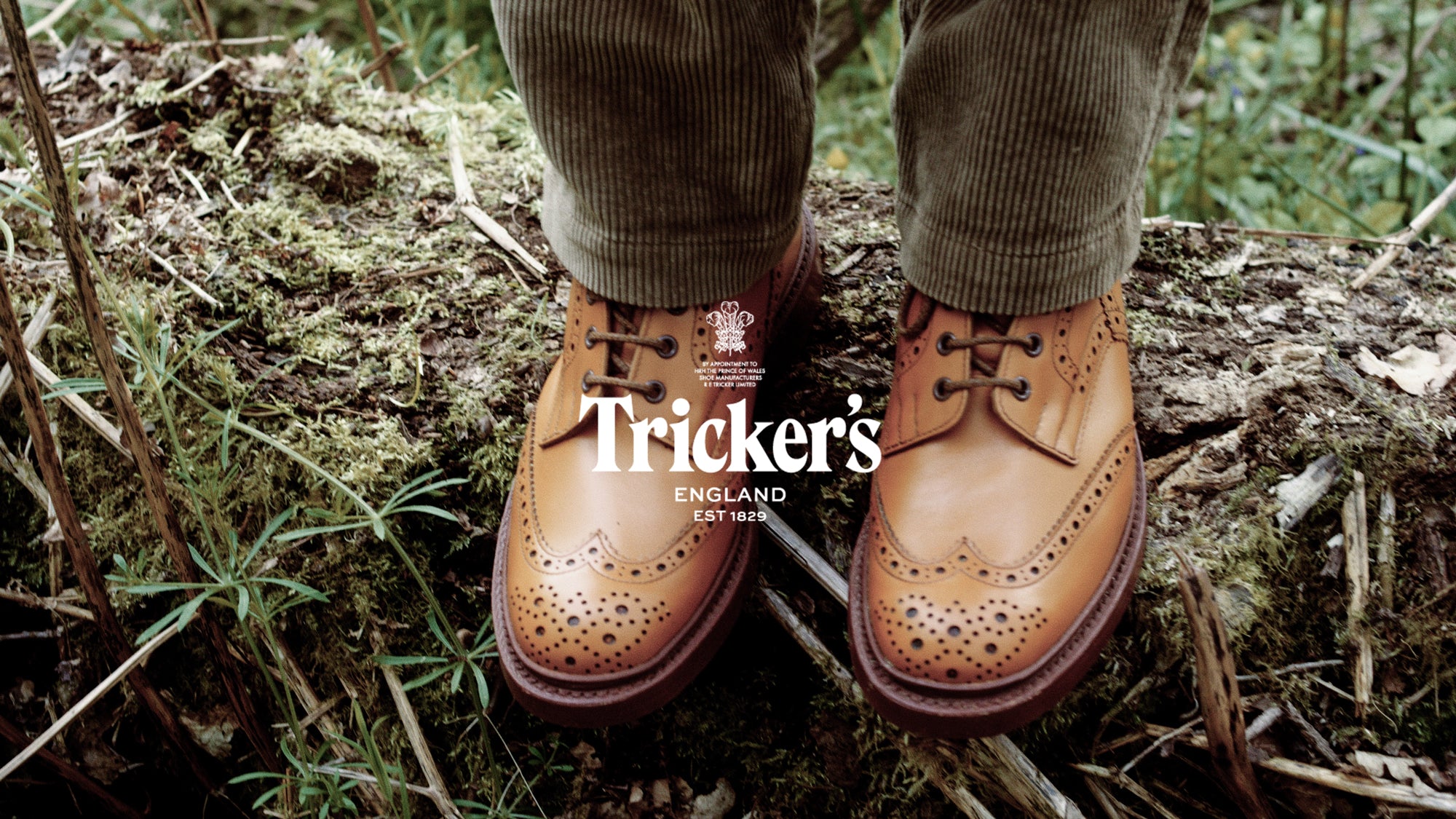 Iconic trickers clearance